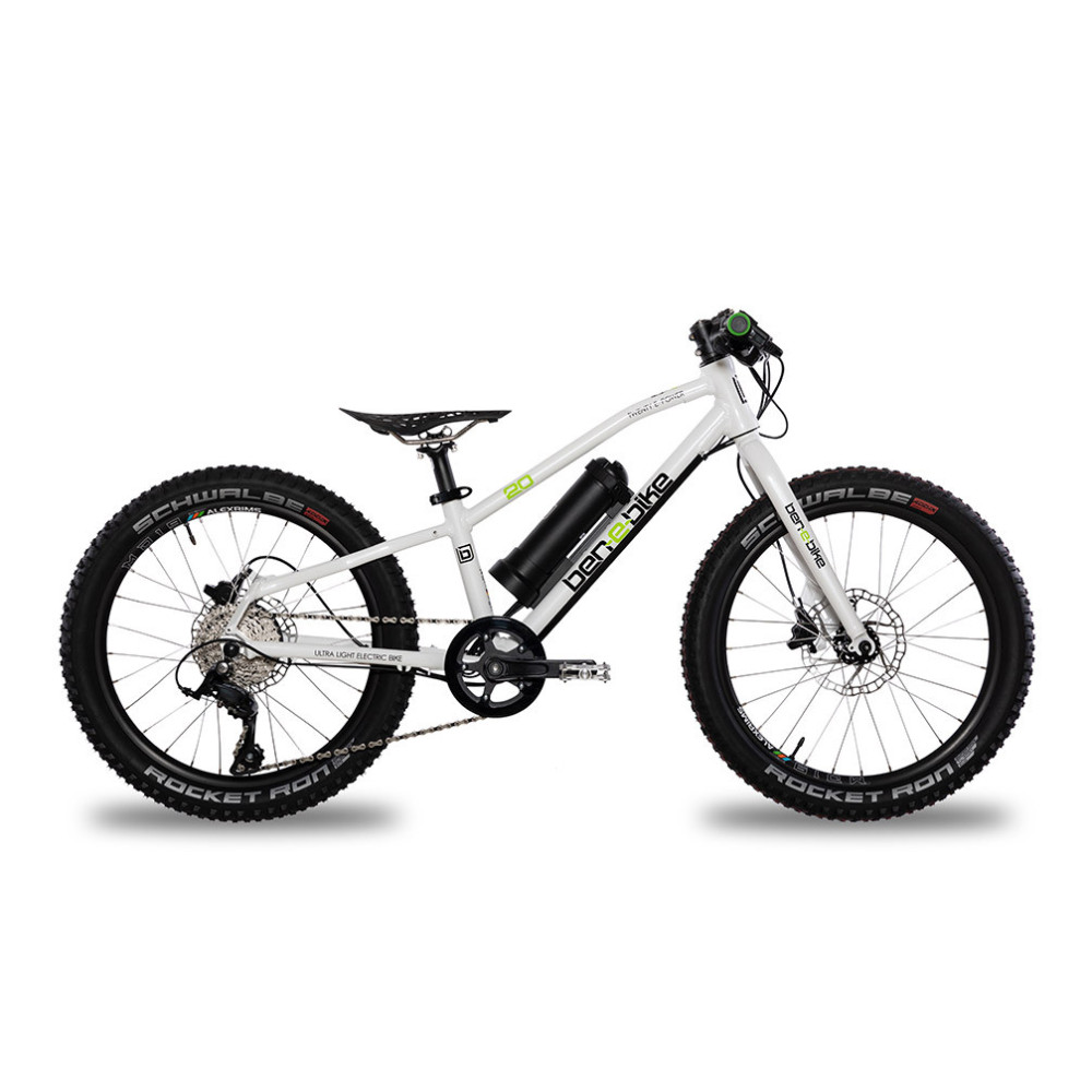 Ben-e-bike twenty Pro used
