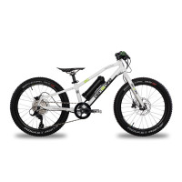 Ben-e-bike twenty Pro used